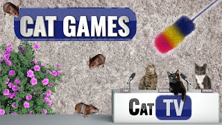 CAT TV Games | Insanely Fun Cat Toys & Guinea Pigs | Videos For Cats to watch |