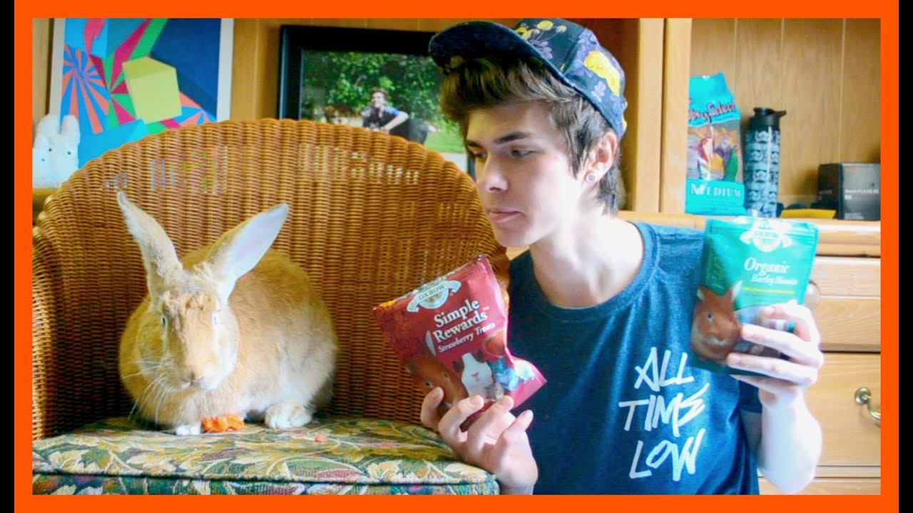 tyler rugge social blade Trying Rabbit Treats w/ DESMOND!!!