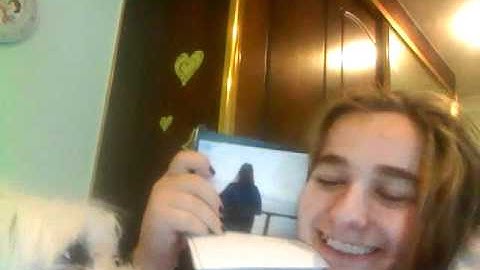 The only exception - Paramore - Fanmade video. dancing dog dancing cat