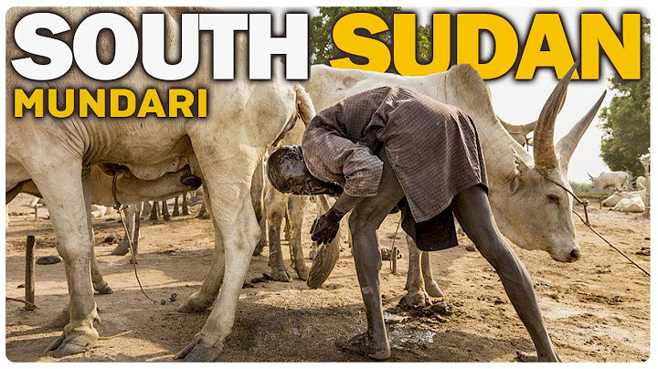South Sudan - why do the people of the Mundari tribe wash themselves with COW MOLE? It's crazy!
