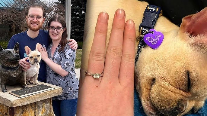 Puppy Helps Man Propose To His Girlfriend