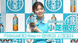 【小芝風花】新CMで麦茶屋の店主になりました！「やかんの麦茶 from 一(はじめ)」