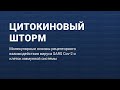 Цитокиновый шторм. Рецепторные взаимодействия вируса SARS Cov-2 и клеток иммунной системы