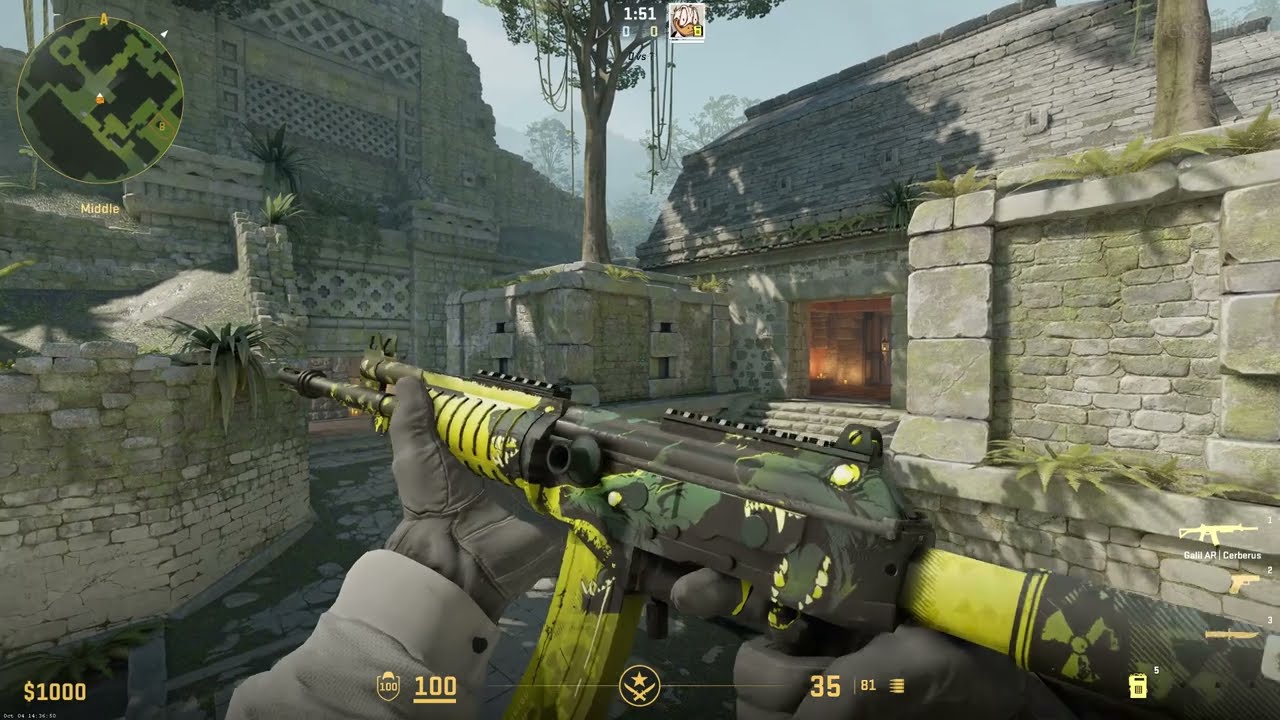 Galil Cerberus (Field-Tested) - CS2 Skin Showcase