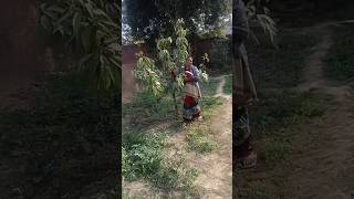 doliya pakad rovae#song #funny #comedy #love #short