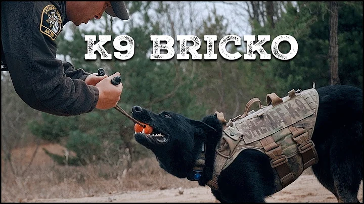 K9 Bricko