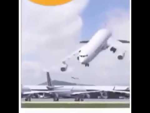 Don Miguelo Y Que Fue