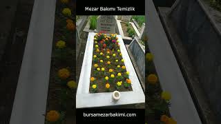 Mezar Bakımı Temizlik