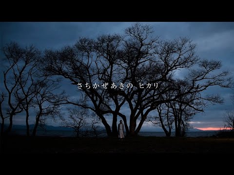秋の風　（あきのかぜ） さちかぜ部log2024 / 曲：彩 - YouTube