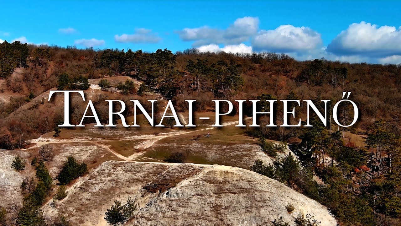 TARNAI PIHENŐ 2026.02.18.