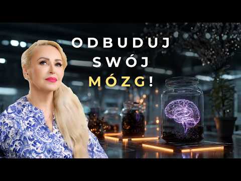 The Effects of Black Maca on the Brain, Memory, and Stress (BDNF and Anandamide) | Maca Part 2