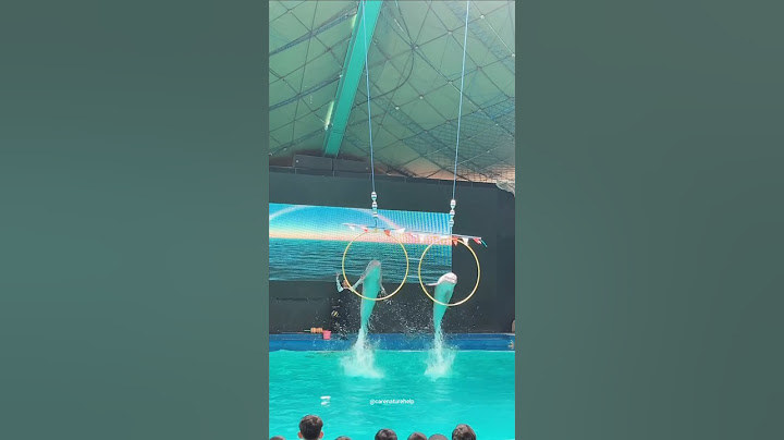 Reality of dolphin stunts show #dolphin #dolphinshow #shorts