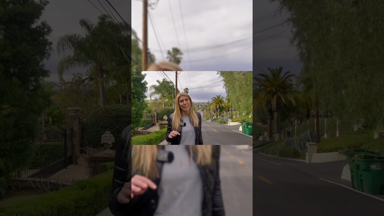 Explore the Enchanting Neighborhood of Lemon Heights