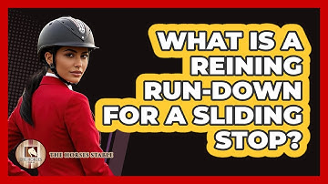 What Is A **reining** Run-down For A Sliding Stop? - The Horses Stable