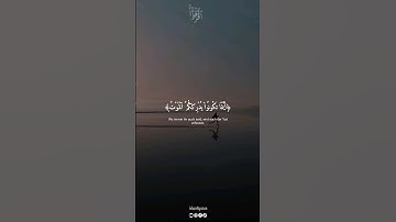 أينما تكونوا يدرككم الموت،سورة النساء بصوت القارئ ياسر الدوسري