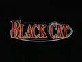 Black Cat Anime Songs Part 1