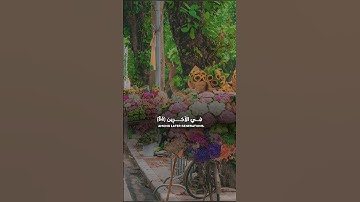 رب هب لي حكما والحقني بالصالحين #تلاوة_خاشعة #ياسر_الدوسري