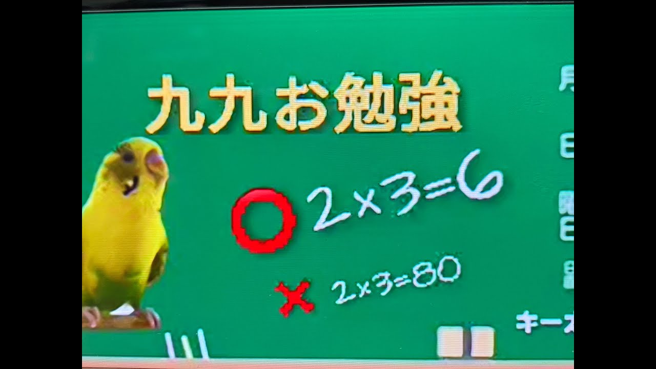 本店 おしゃべりインコ3 850円 Abamedyc Com