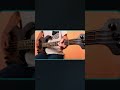 Why Punk Bassists Use Root Notes