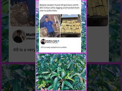 Mahasiswa Menemukan Batangan Emas Senilai $10 Juta & Mengembalikannya! Jujur #viral #trending #emas