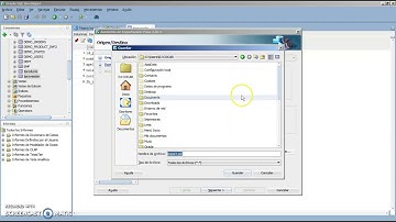 Exportar bases de datos - Back Up en Oracle