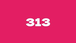 313 - Countdown to New Year 2024