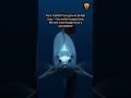 Top 10 Most Mysterious Ocean Creatures #mysteriouscreatures #oceancreatures #deepsea #seacreatures