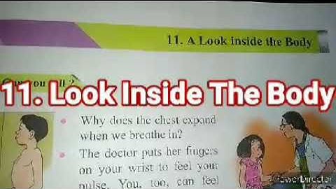 std-4th I Sub-Evs-1|11. Look Inside The Body Part-5.
