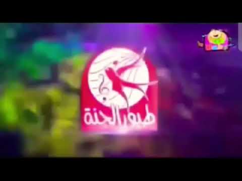 فاصل قنوات 2 