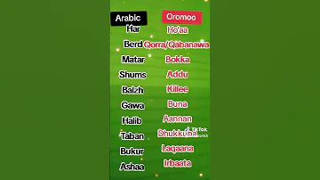Learn Afaan Oromoo In Arabic 