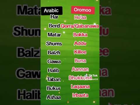 Learn Afaan Oromoo In Arabic  Learn Afaan Oromoo In Arabic