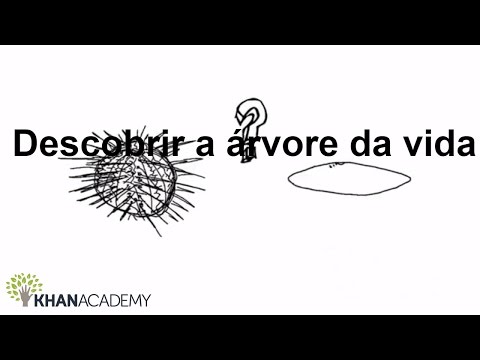 Vídeo: De Madeiras E Teias: Possíveis Alternativas à árvore Da Vida Para O Estudo Da Fluidez Genômica Em E. Coli