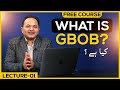 What is gbob  free gbob course lecture 1  guest posting full course by shahzad ahmad mirza