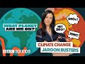 Carbon zero? The Paris Agreement? GHGs? - Climate Change Jargon Busters | BBC Sounds