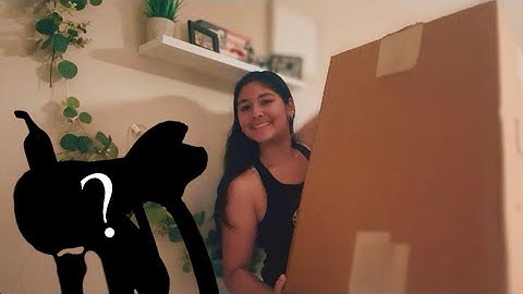 Unbox Journey’s New Custom Saddle