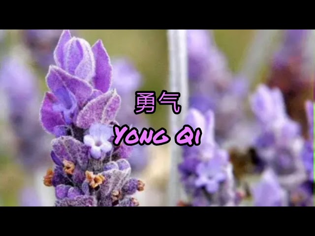 棉子 - 勇气 Yong Qi | Courage class=