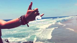 2ToneDisco - Go | WallflowerFood Recordings Vol. 2