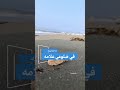 حبك كريم خواطر شيلات شعر اقتباسات ابيات قصائد تصميمي تصويري تصميم شيلات 