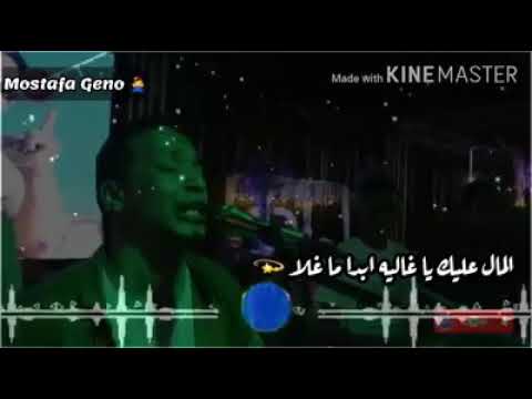عارفك جميله زايده في البنوت حلا للامبراطور محمد فوزي