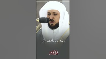 تلاوة خاشعة و هادئة للشيخ ماهر المعيقلي حفظه الله