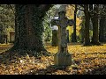 Лесные открытия и страхи на заброшенном кладбище