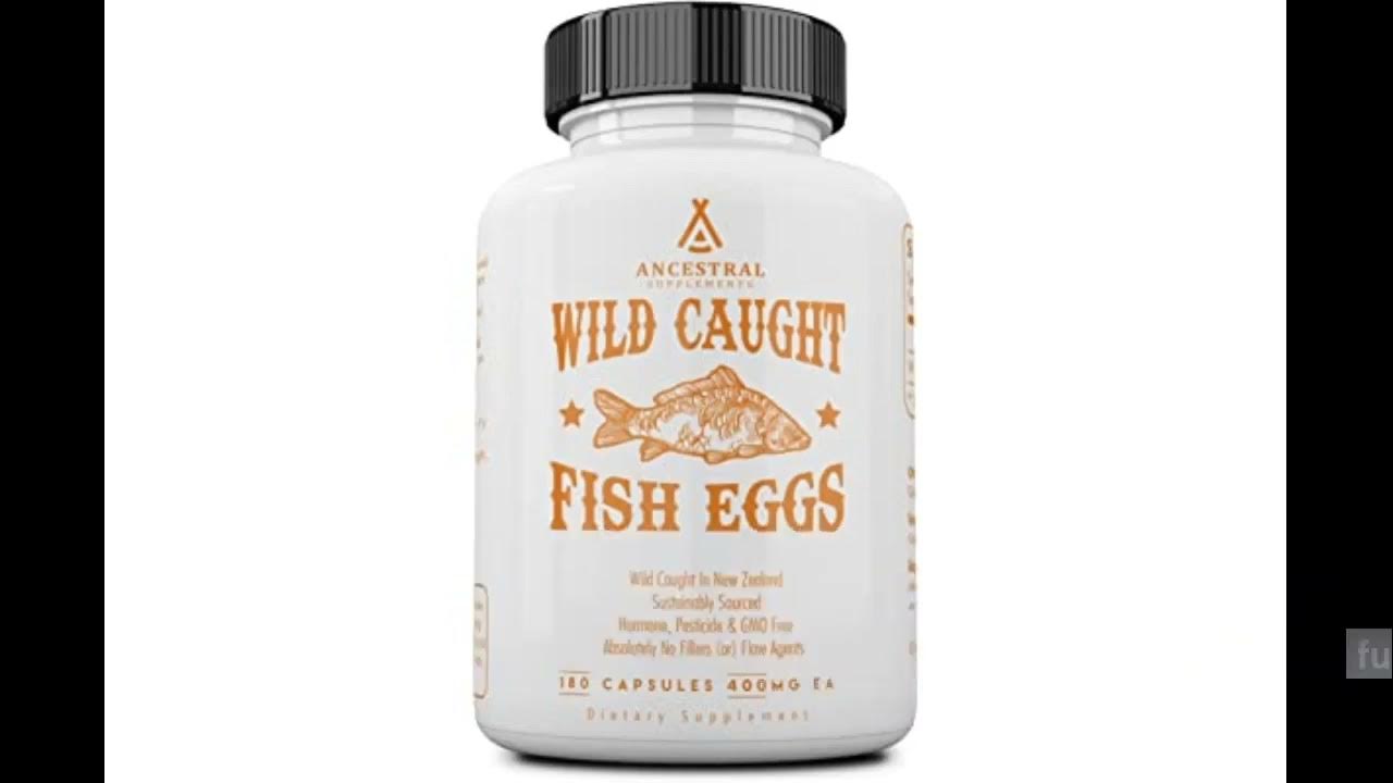 Ancestral Supplements Wild Caught Fish Eggs YouTube