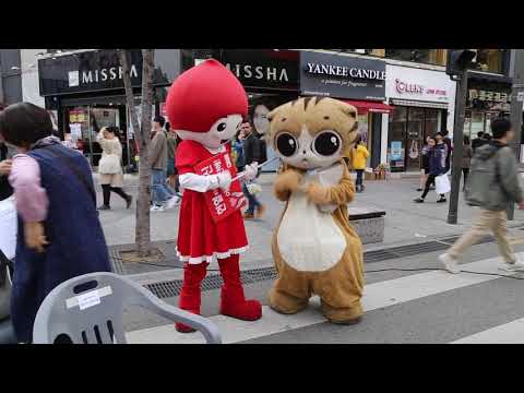 JHKTV] 신촌 명물고양이 마임&amp;amp;헌혈이   shin chon special cat mime &amp;amp; <strong>Blood</strong> <strong>donation</strong> man