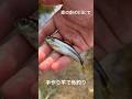 手作りの竿でも釣れる!?