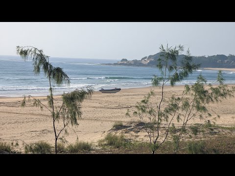 Vidéo: Plongée sous-marine à Tofo Beach, Mozambique : le guide complet