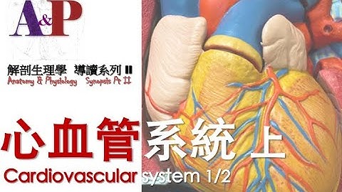 解剖生理學 導讀系列II 心血管系統 (上)
