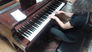 (HD) Schumann Hasche-Mann, Blind Man's Bluff Kinderszenen 3, Op. 15