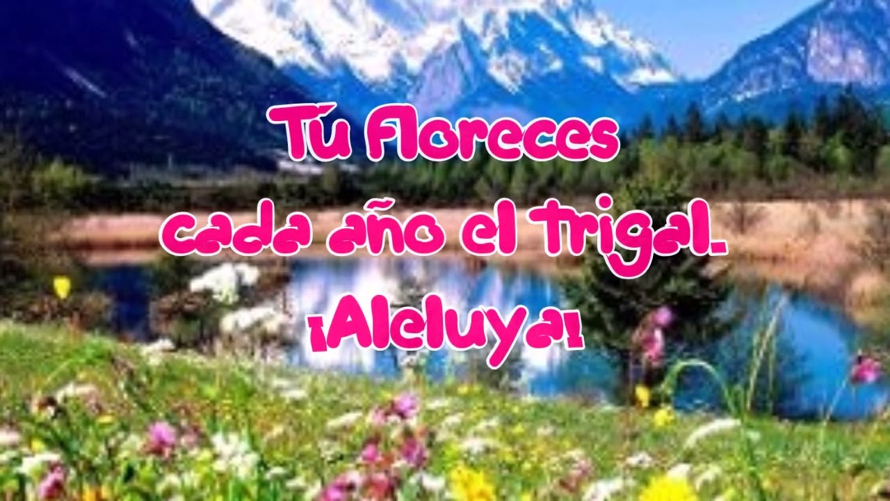 ALELUYA, ALELUYA, ALELUYA, AMÉN (E. V.  Mateu)