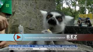 Tv Toya - Bez Komentarzafragment Z Lipca 2019
