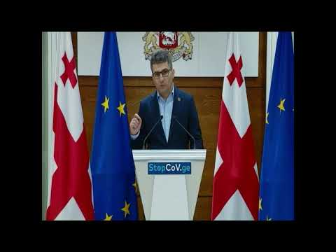 ვადას ავსახავთ კანონში,  რომ კიდევ უფრო ნაკლები სპეკულაციის საშუალება მივცეთ ვინმეს  - მდინარაძე